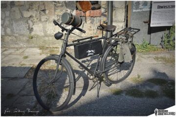 fot. Andrzej Tomczyk