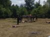 Rekonstrukcja bitwy ©Fundacja „KEDYW”