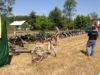 Wystawa zabytkowych motocykli ©Fundacja „KEDYW”
