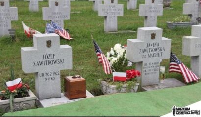 (fot. Jan Zawitkowski)